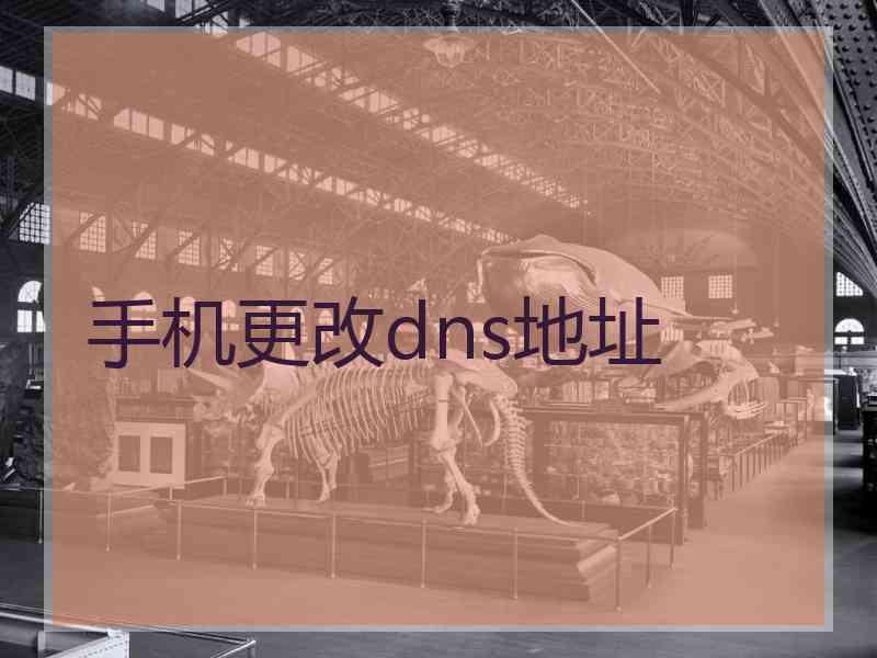 手机更改dns地址