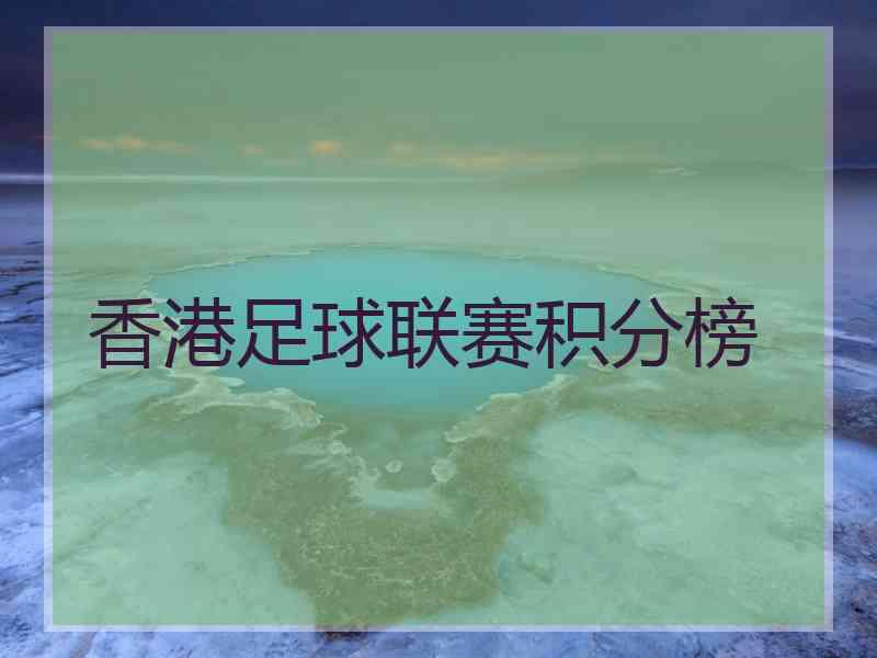 香港足球联赛积分榜