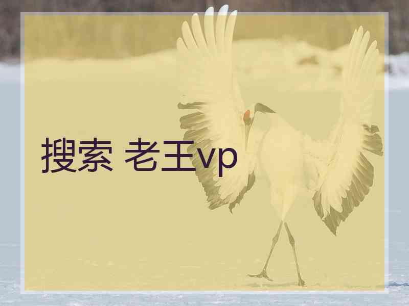 搜索 老王vp