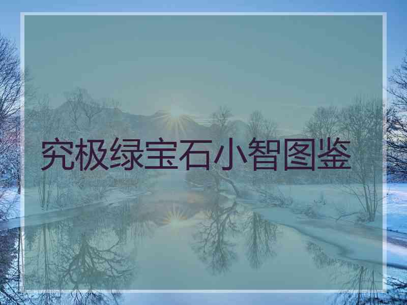 究极绿宝石小智图鉴