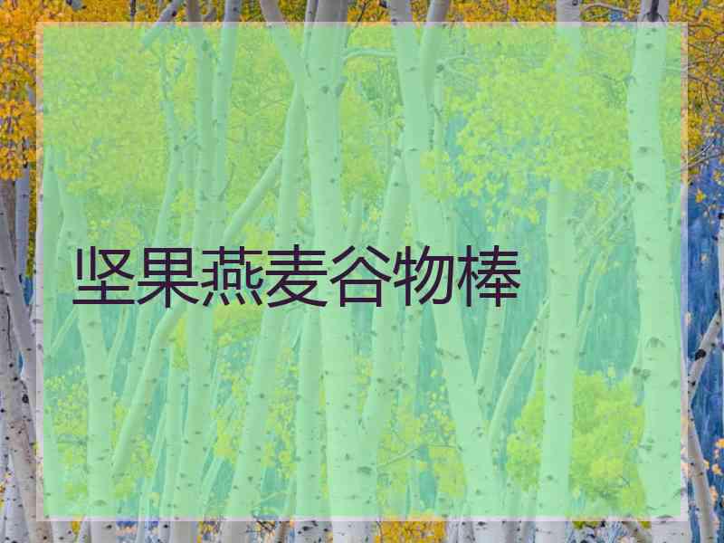 坚果燕麦谷物棒
