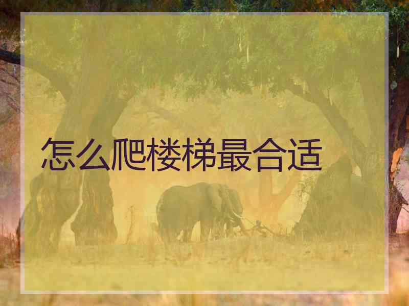 怎么爬楼梯最合适