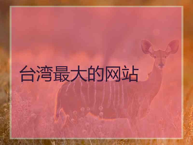 台湾最大的网站