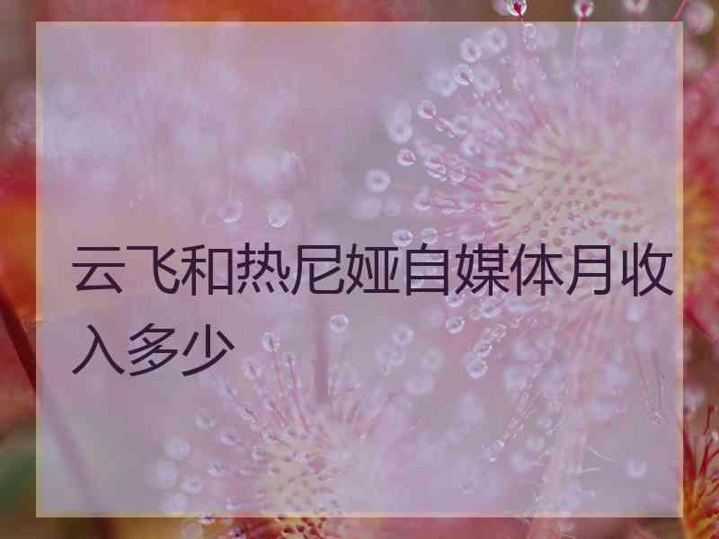 云飞和热尼娅自媒体月收入多少