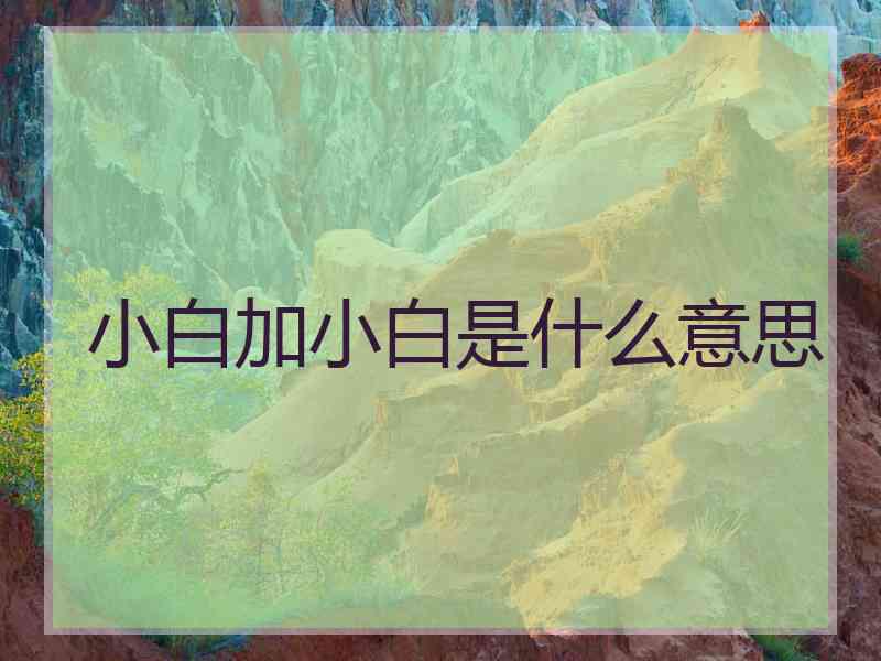 小白加小白是什么意思