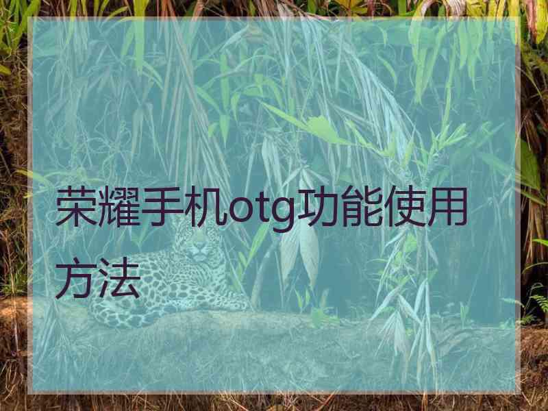 荣耀手机otg功能使用方法