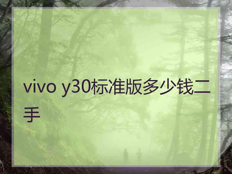 vivo y30标准版多少钱二手