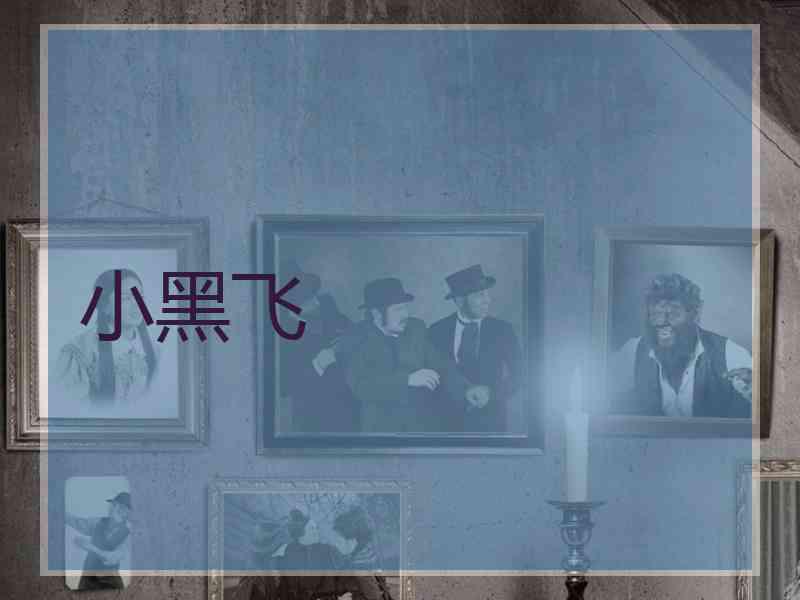 小黑飞
