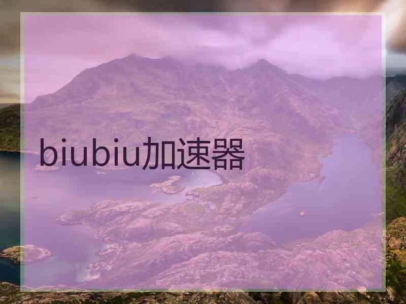 biubiu加速器