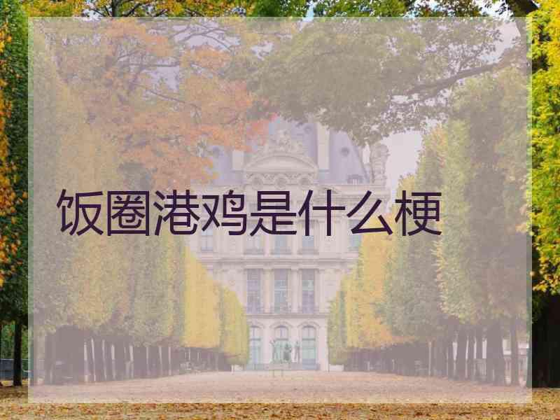 饭圈港鸡是什么梗