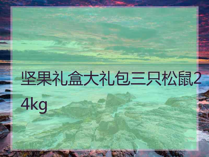坚果礼盒大礼包三只松鼠24kg