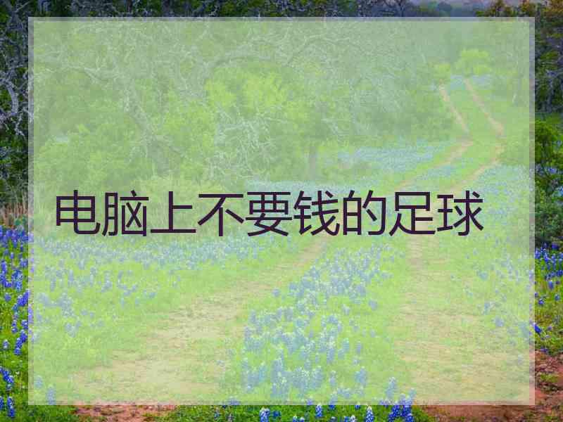 电脑上不要钱的足球