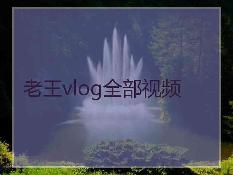 老王vlog全部视频