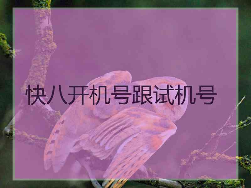 快八开机号跟试机号