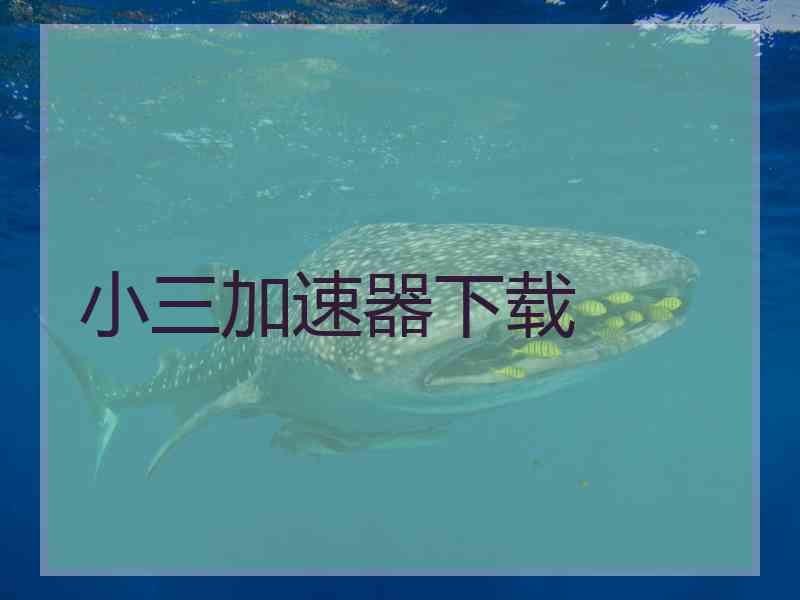 小三加速器下载