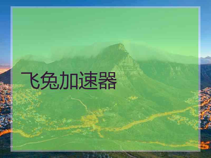 飞兔加速器