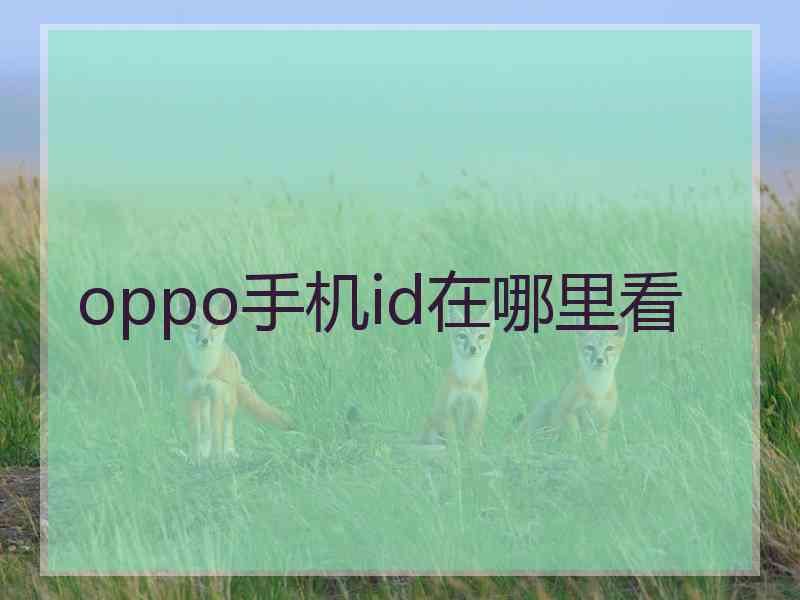oppo手机id在哪里看