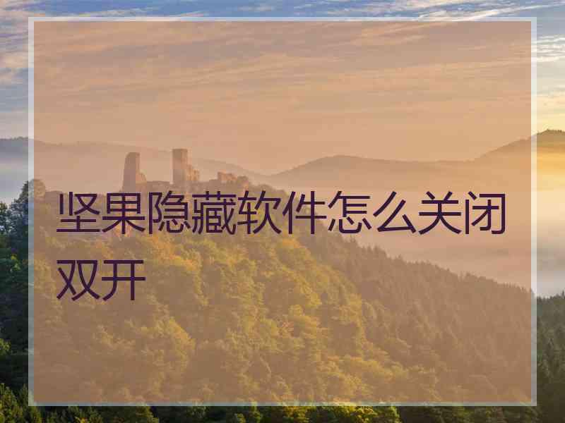 坚果隐藏软件怎么关闭双开