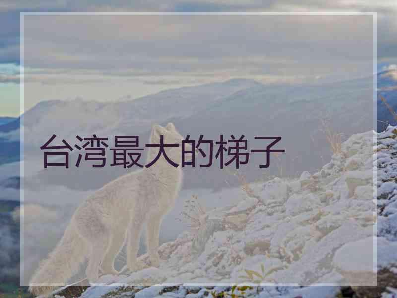台湾最大的梯子