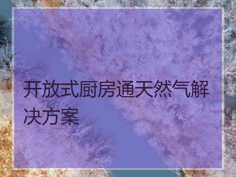 开放式厨房通天然气解决方案