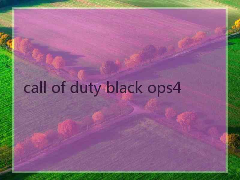 call of duty black ops4