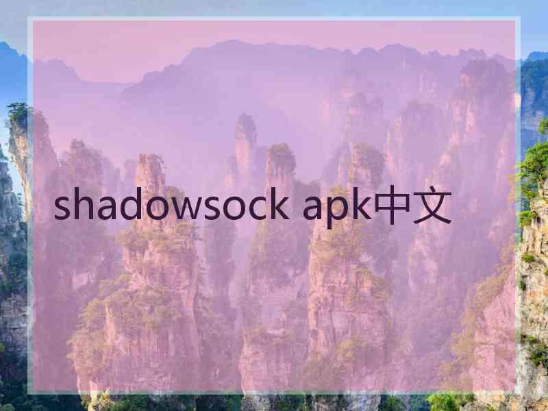 shadowsock apk中文