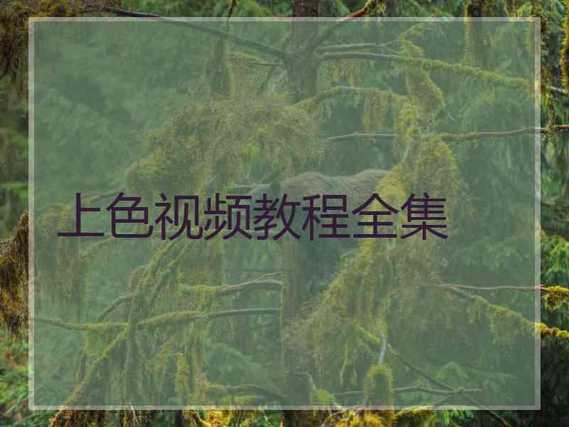 上色视频教程全集