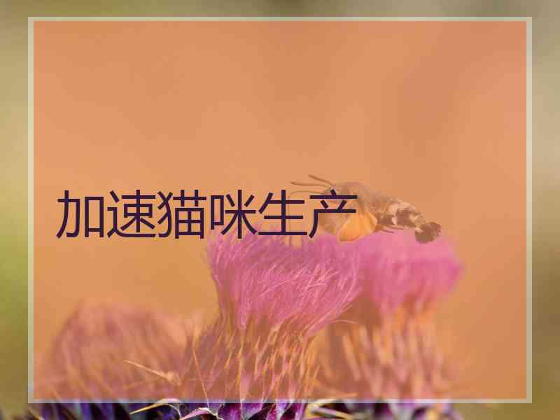 加速猫咪生产
