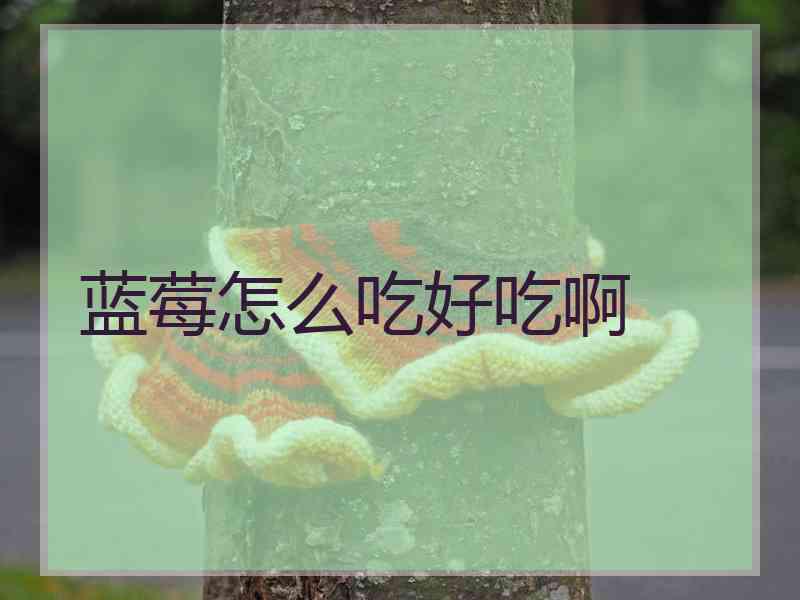 蓝莓怎么吃好吃啊