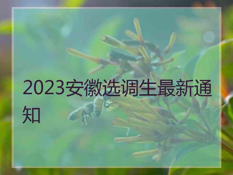 2023安徽选调生最新通知