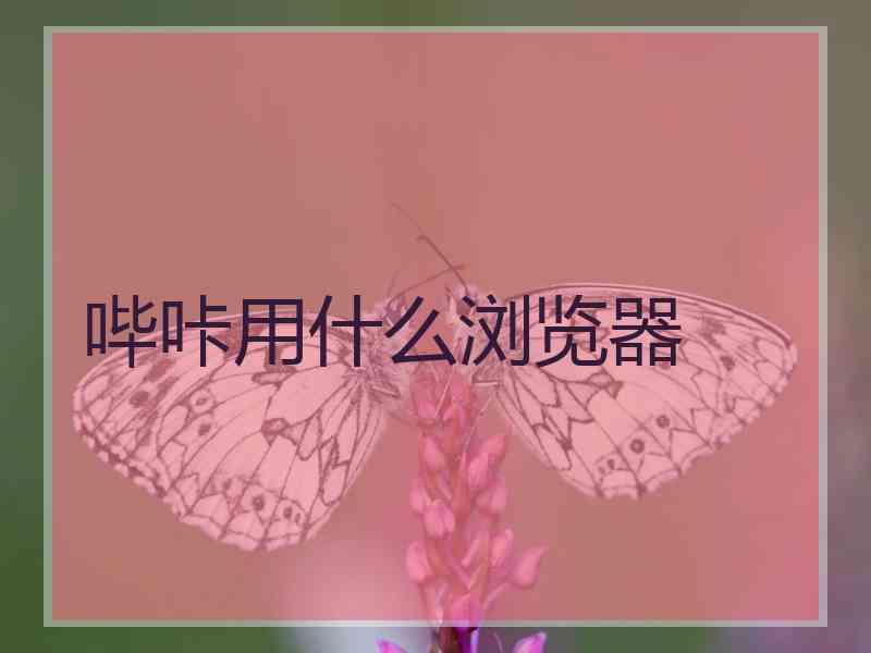 哔咔用什么浏览器