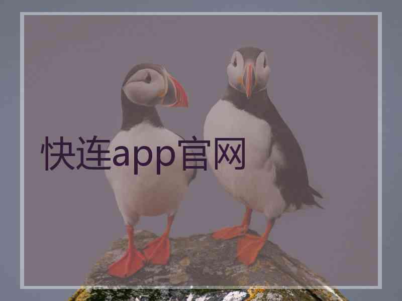 快连app官网