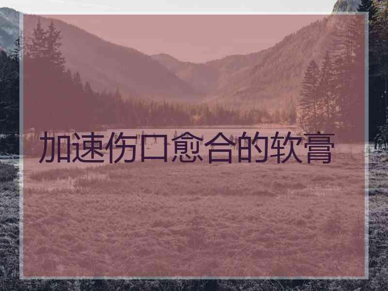 加速伤口愈合的软膏