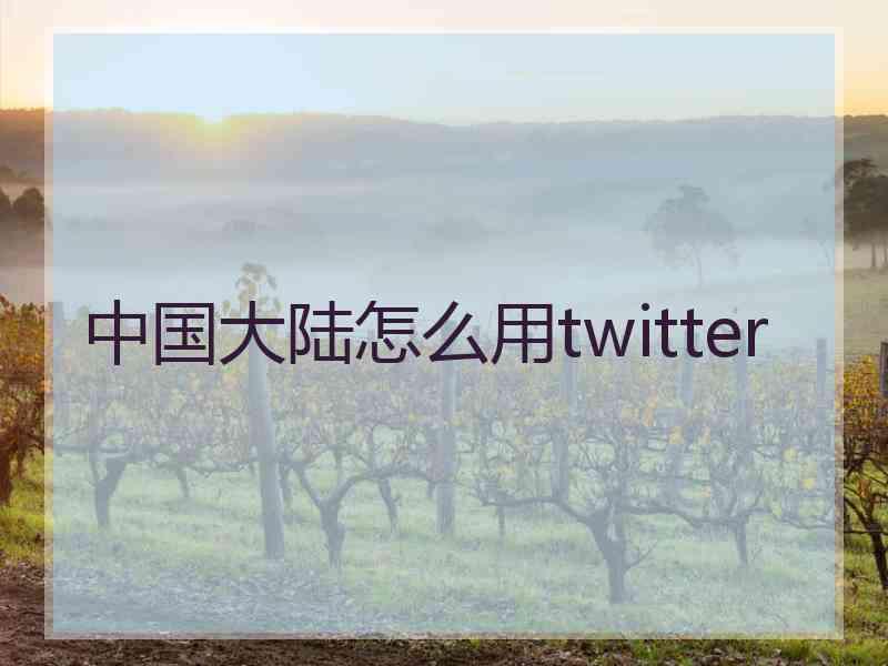 中国大陆怎么用twitter