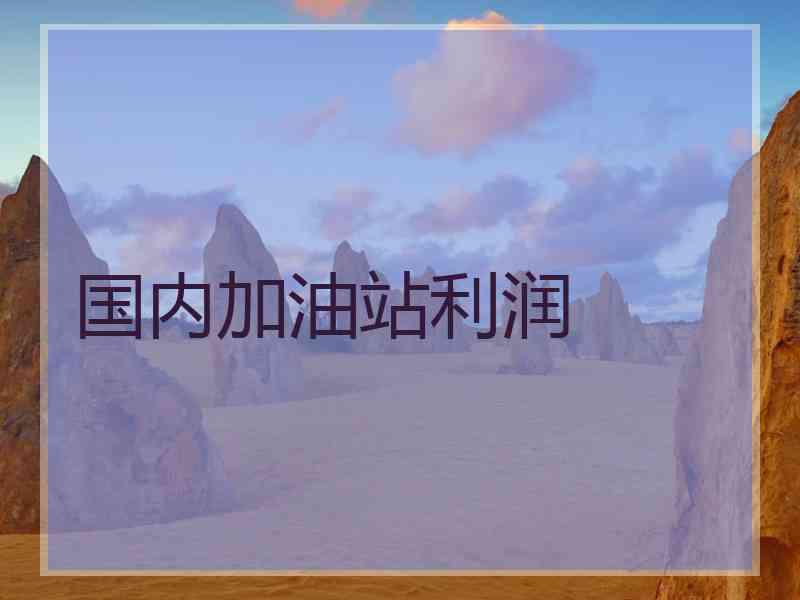 国内加油站利润
