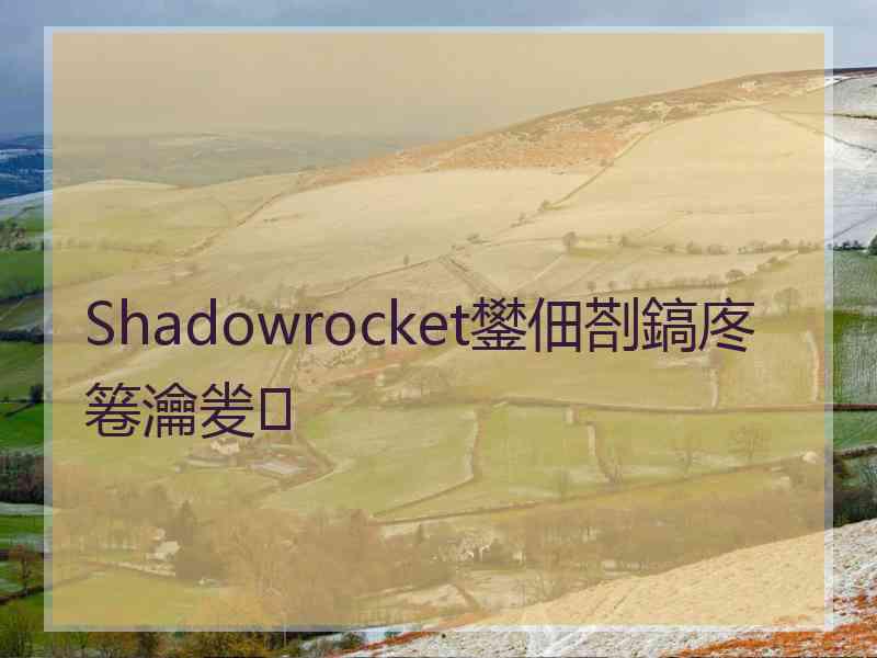 Shadowrocket鐢佃剳鎬庝箞瀹夎