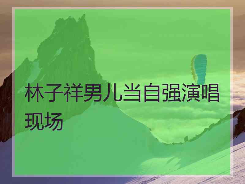 林子祥男儿当自强演唱现场