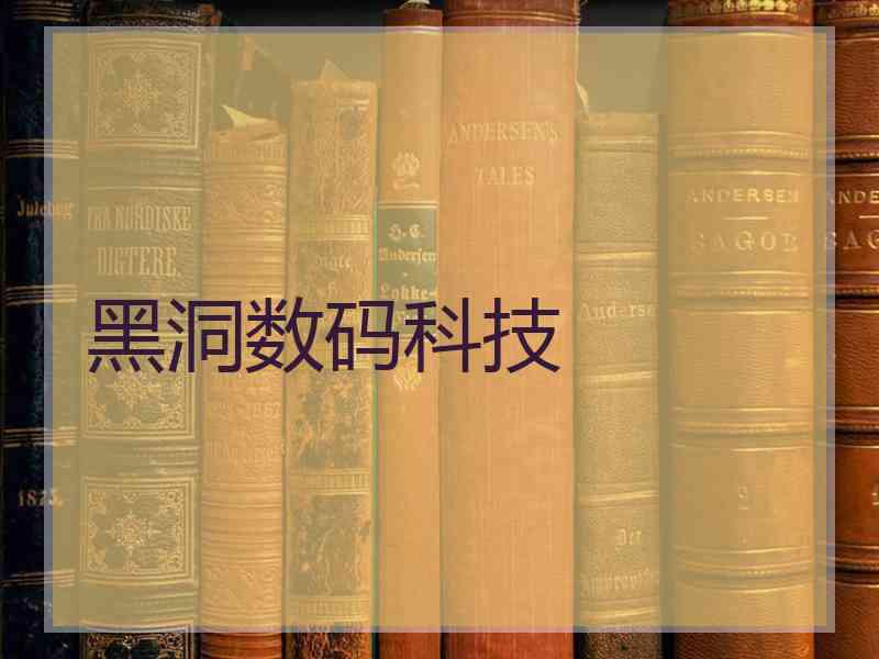 黑洞数码科技