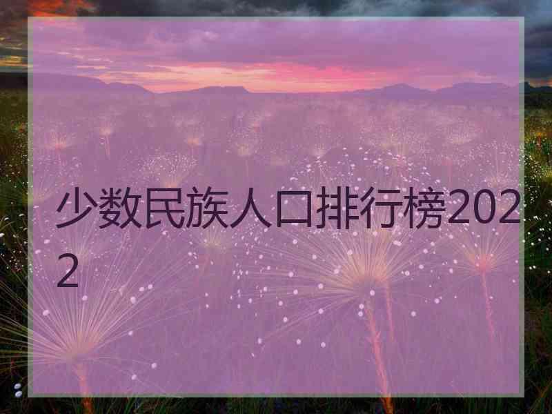 少数民族人口排行榜2022