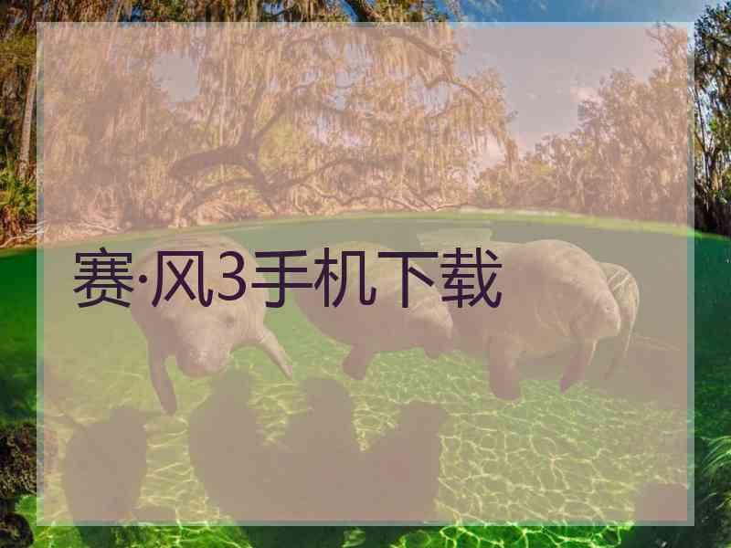 赛·风3手机下载