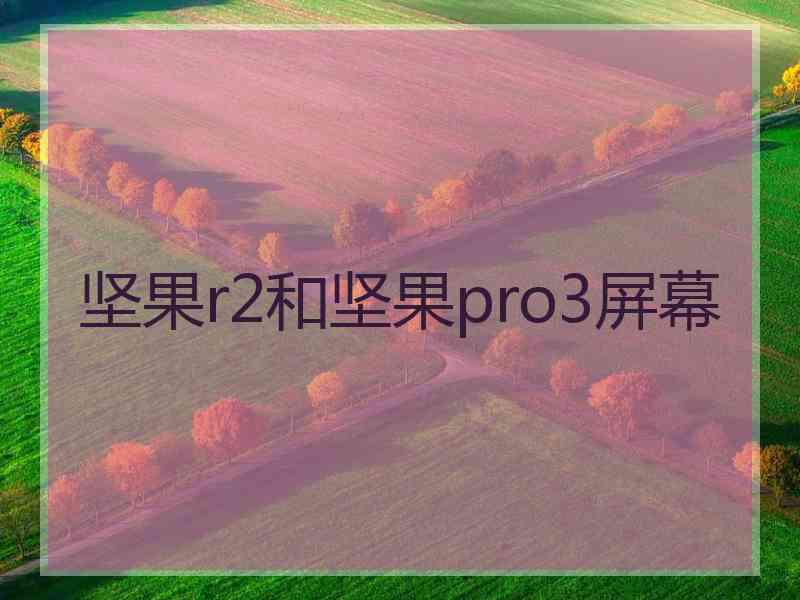 坚果r2和坚果pro3屏幕
