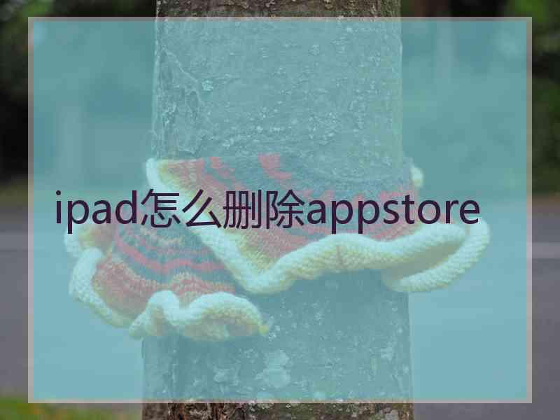 ipad怎么删除appstore