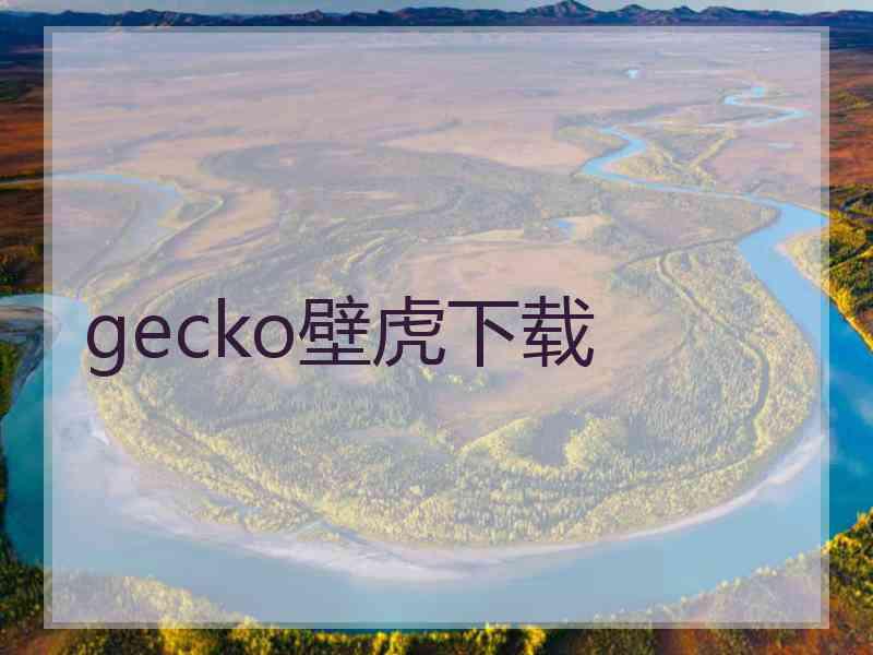 gecko壁虎下载