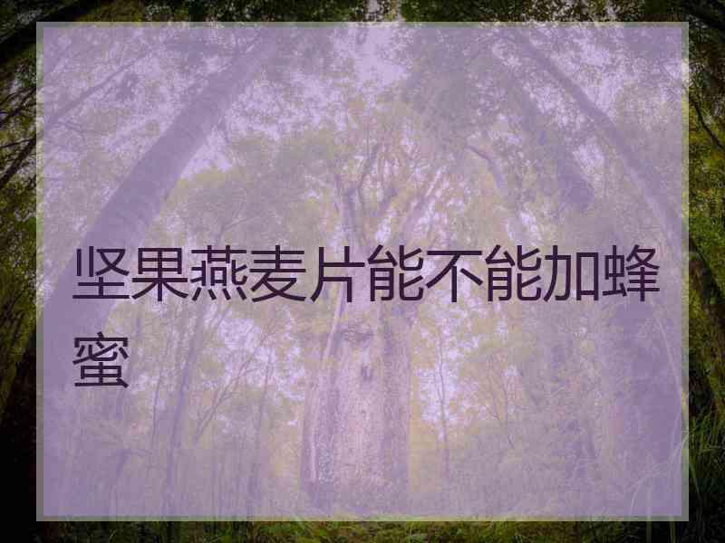 坚果燕麦片能不能加蜂蜜