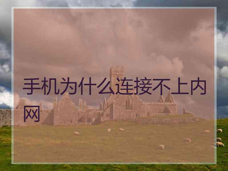 手机为什么连接不上内网