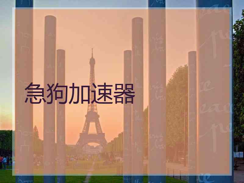 急狗加速器