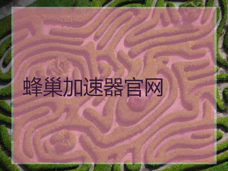 蜂巢加速器官网