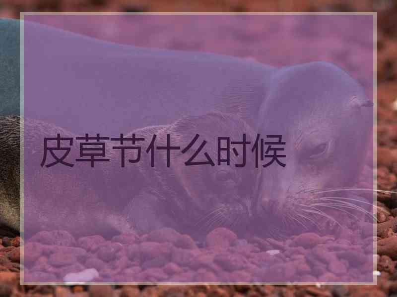 皮草节什么时候