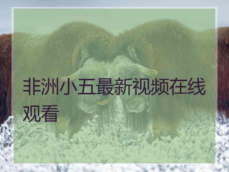 非洲小五最新视频在线观看