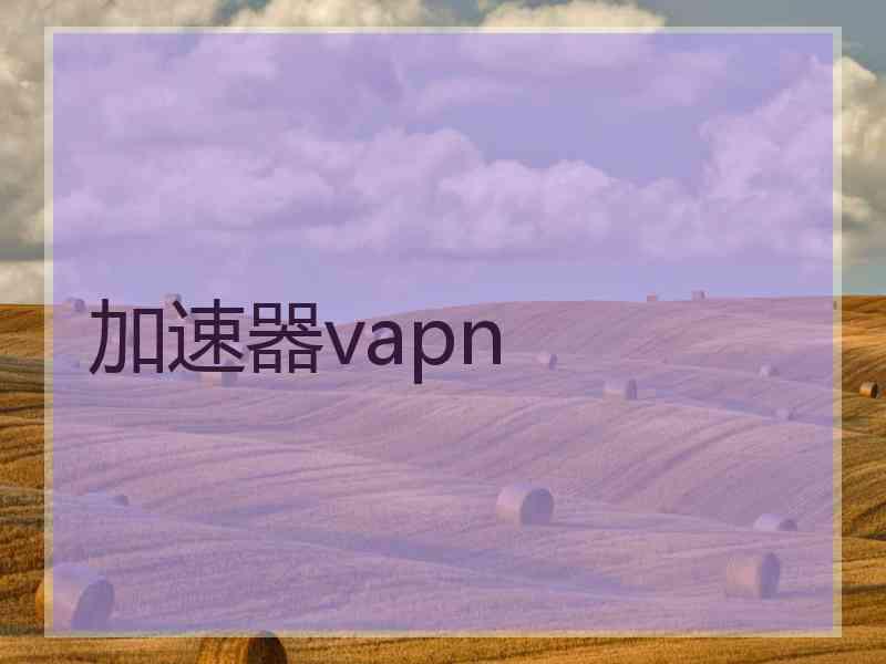 加速器vapn